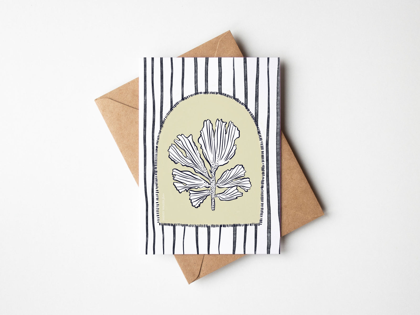 Fan Shell Stripe_ Greeting Card | Harvey Walker Studio
