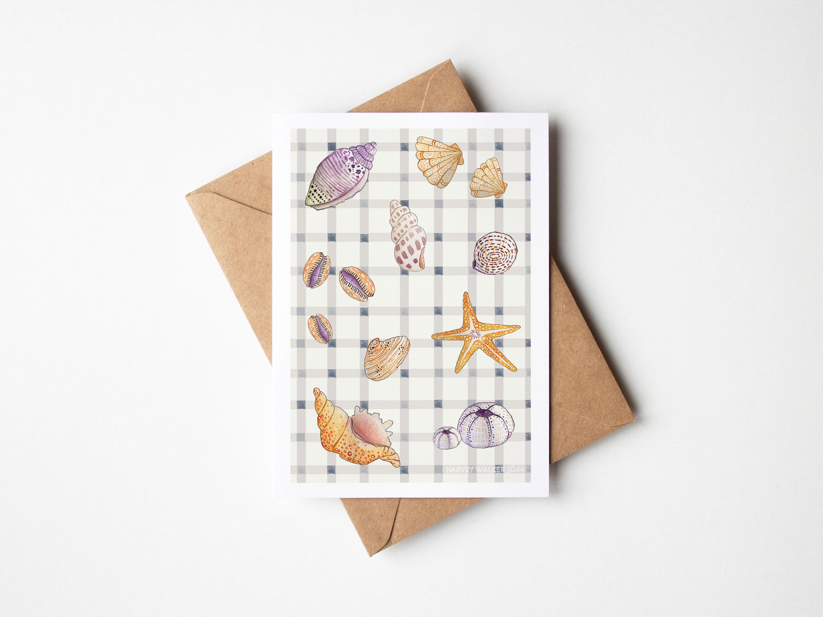 Gingham Shells_ Greeting Card | Harvey Walker Studio