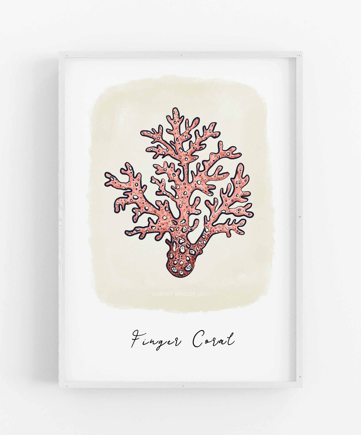 FINGER CORAL COLOUR - Fine Art Print