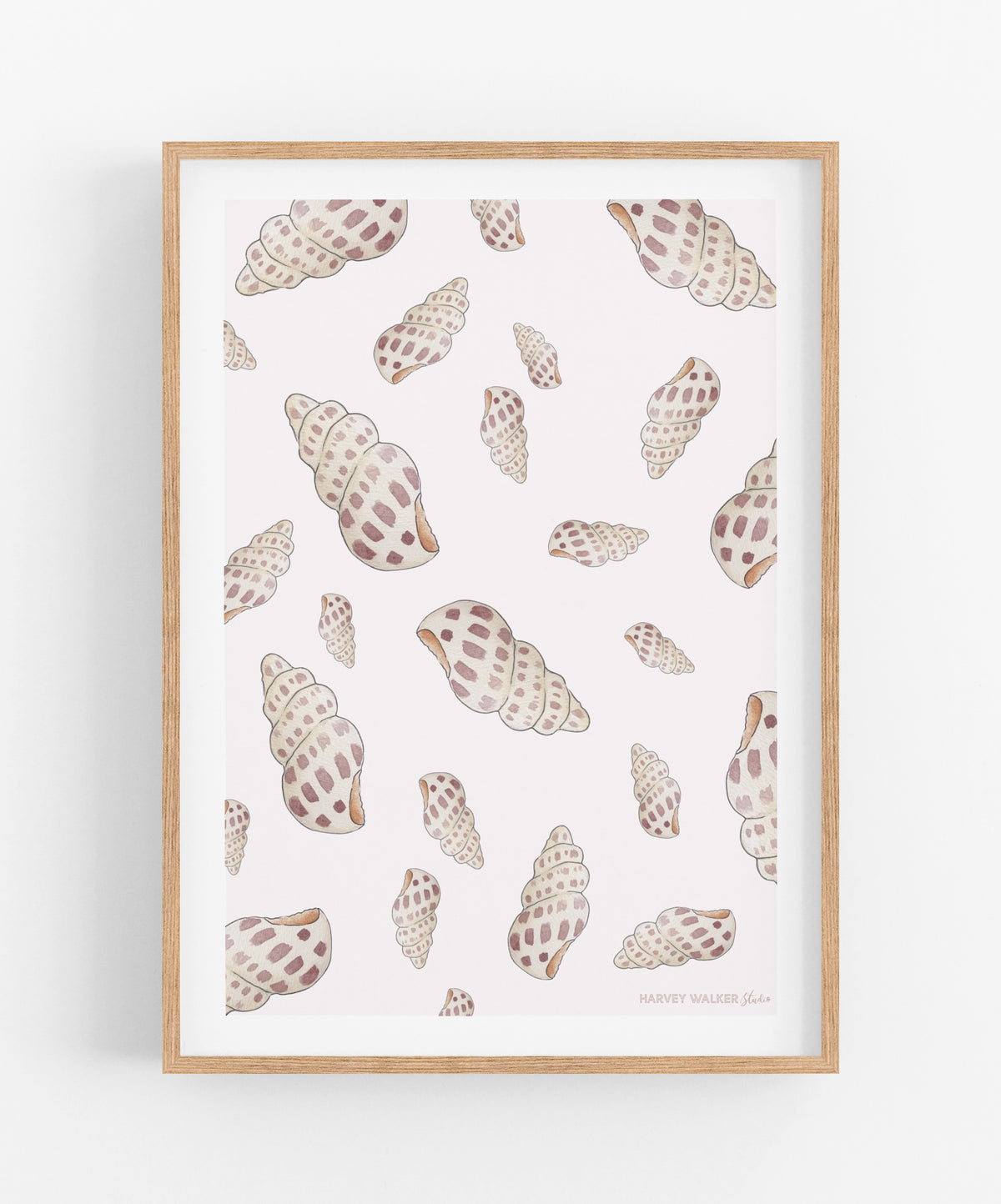 SHELLS GLAORE - Fine Art Print