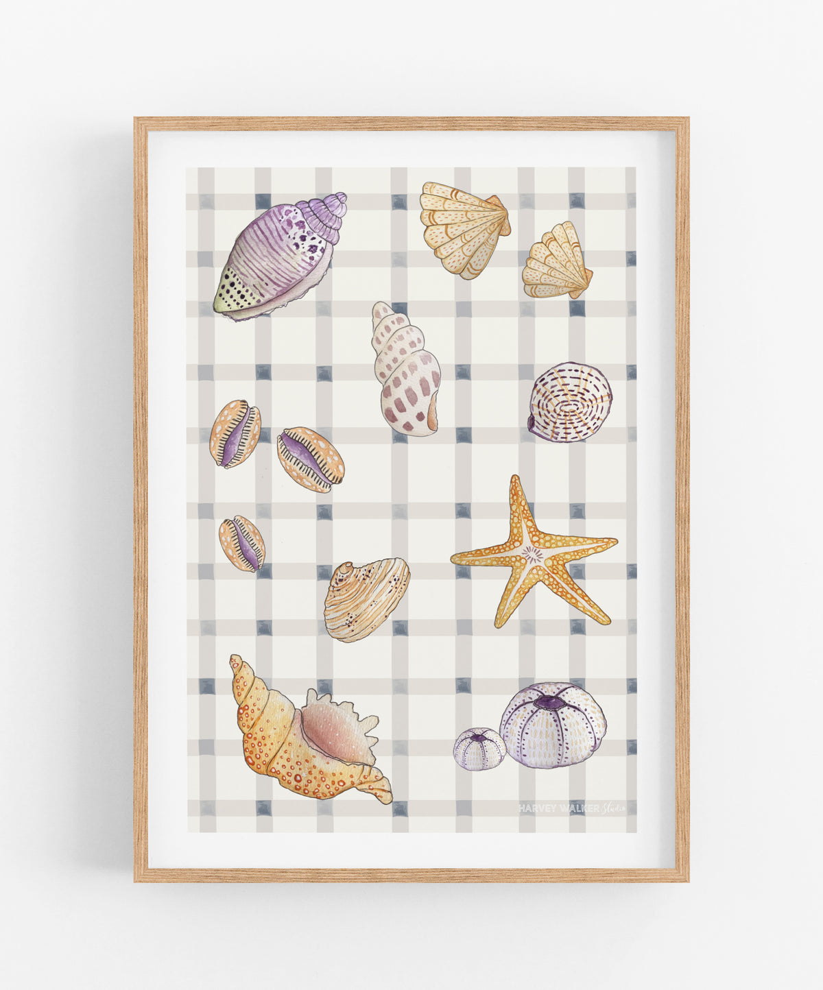 SHELL COLLECTION - Fine Art Print