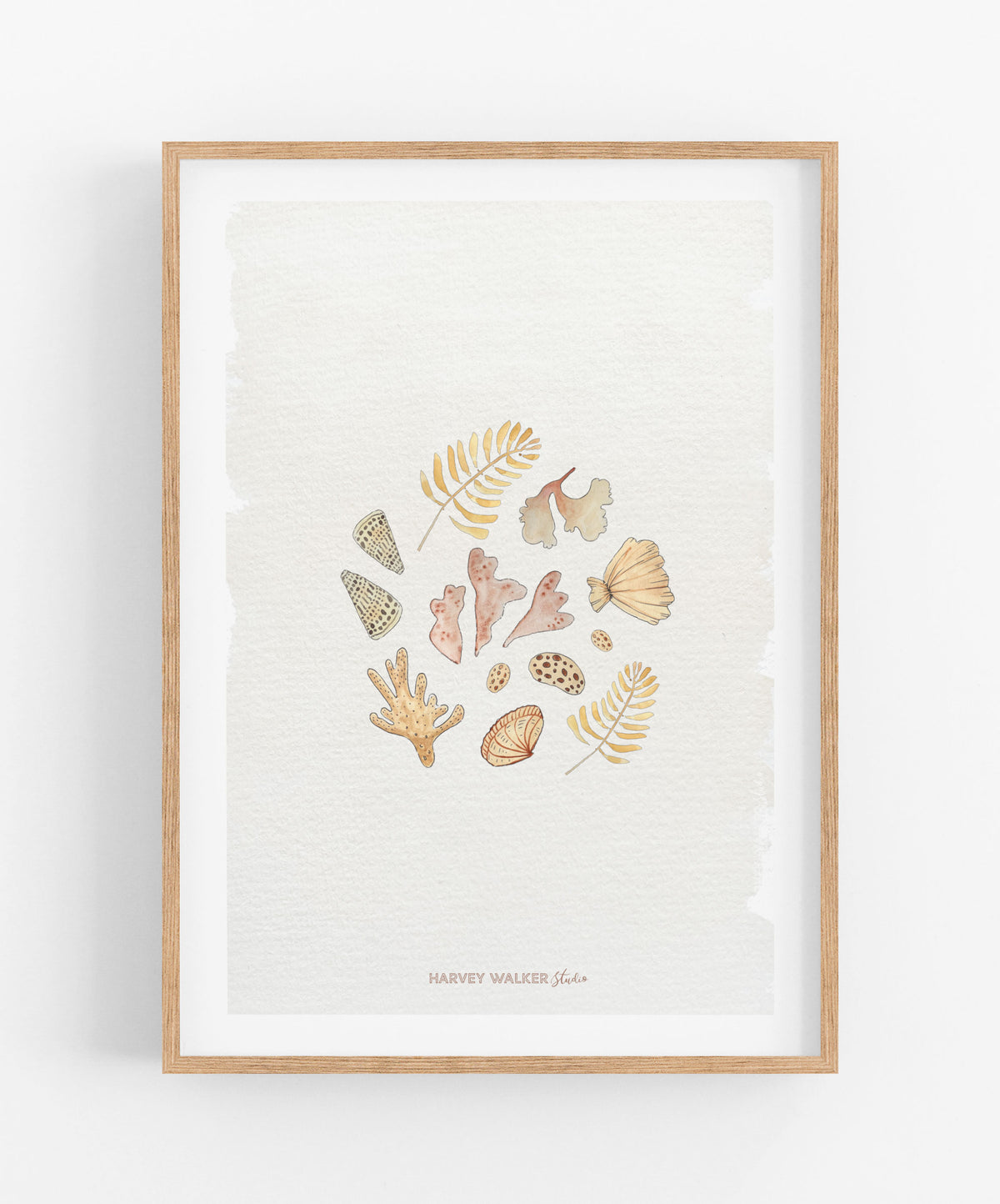 SHELL CIRCLE - Beige Wash - Fine Art Print