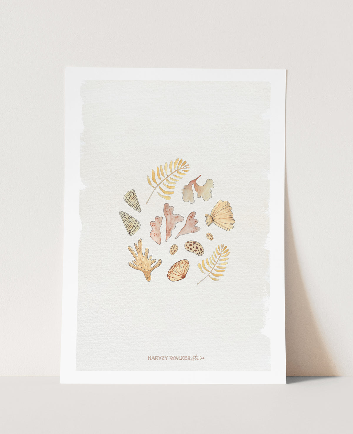 SHELL CIRCLE - Beige Wash - Fine Art Print