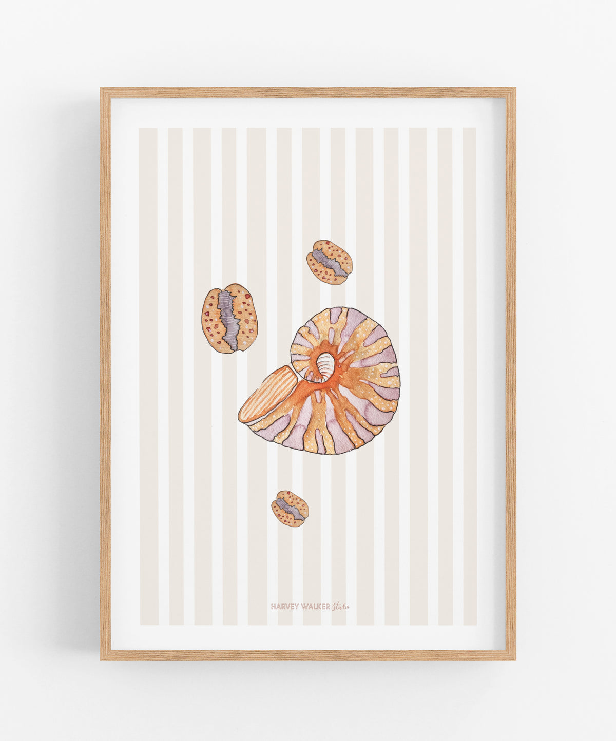 SHELL BUNDLE STRIPE - Fine Art Print