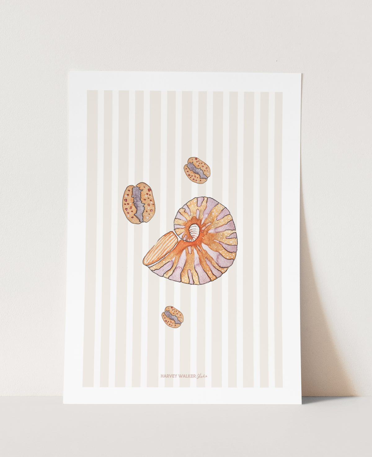 SHELL BUNDLE STRIPE - Fine Art Print