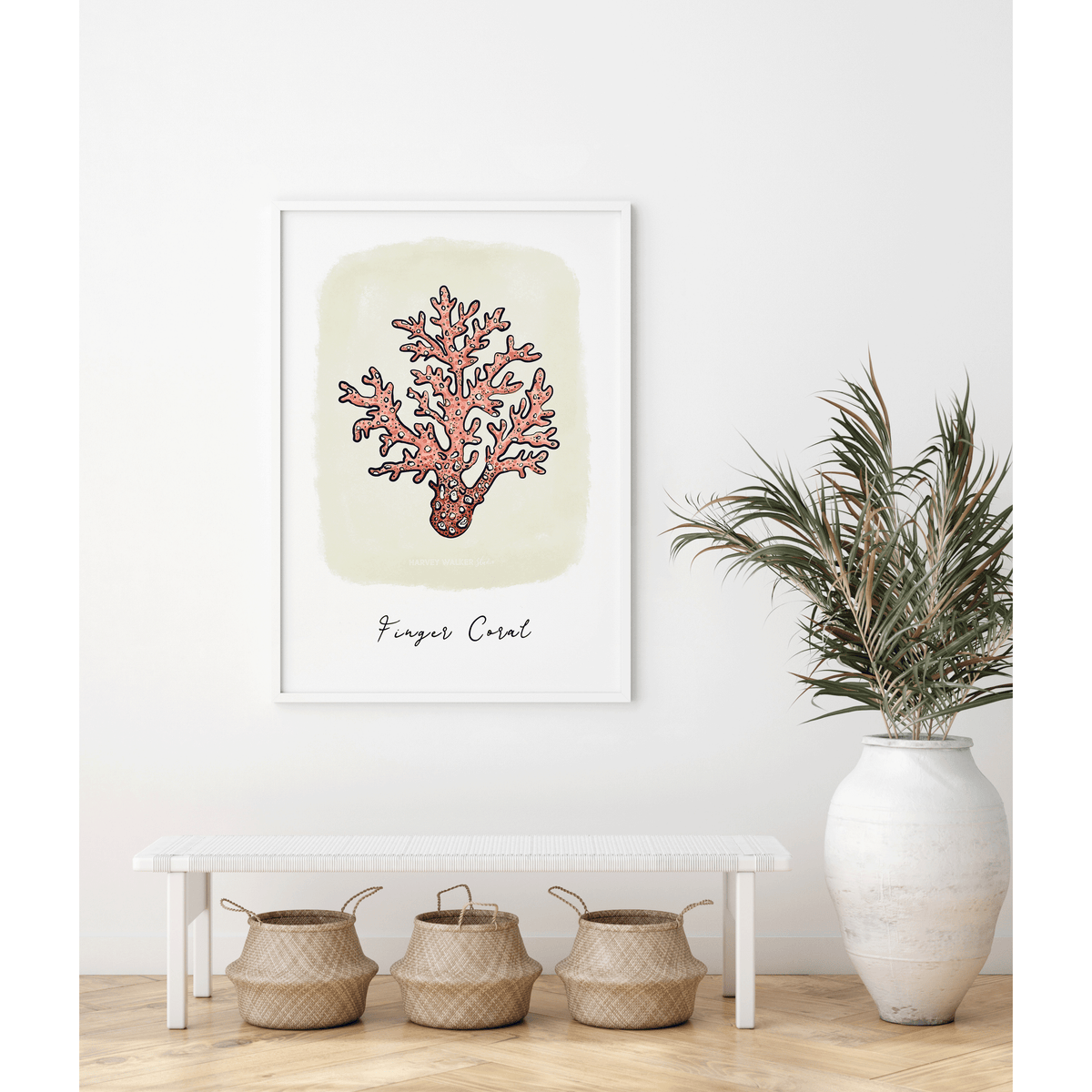 FINGER CORAL COLOUR - Fine Art Print