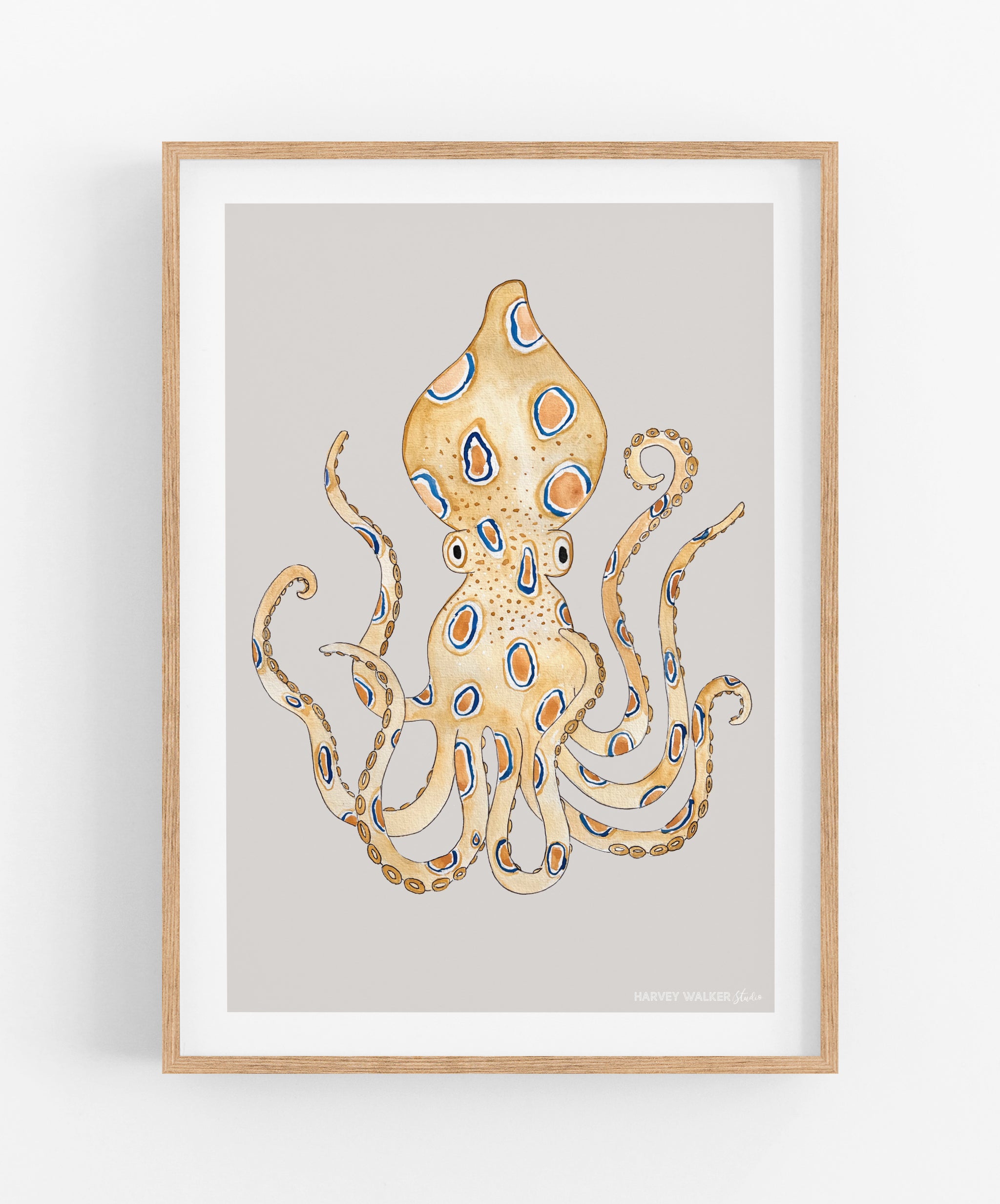 Blue Ringed Octopus Drawing