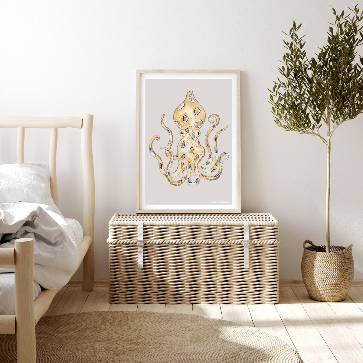 Positioned in a holiday like relaxed kids bedroom, this beautiful print is great for a shared kids bedroom . With its neutral tones, the octopus images brings out the natural wood colours in the frame and furniture.