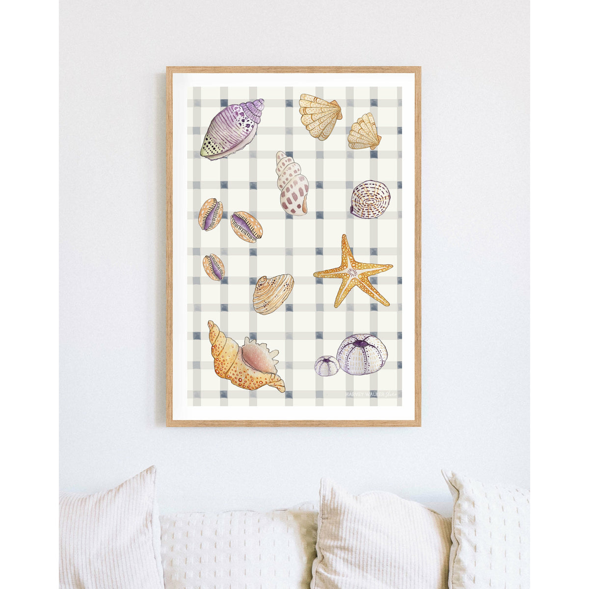 SHELL COLLECTION - Fine Art Print