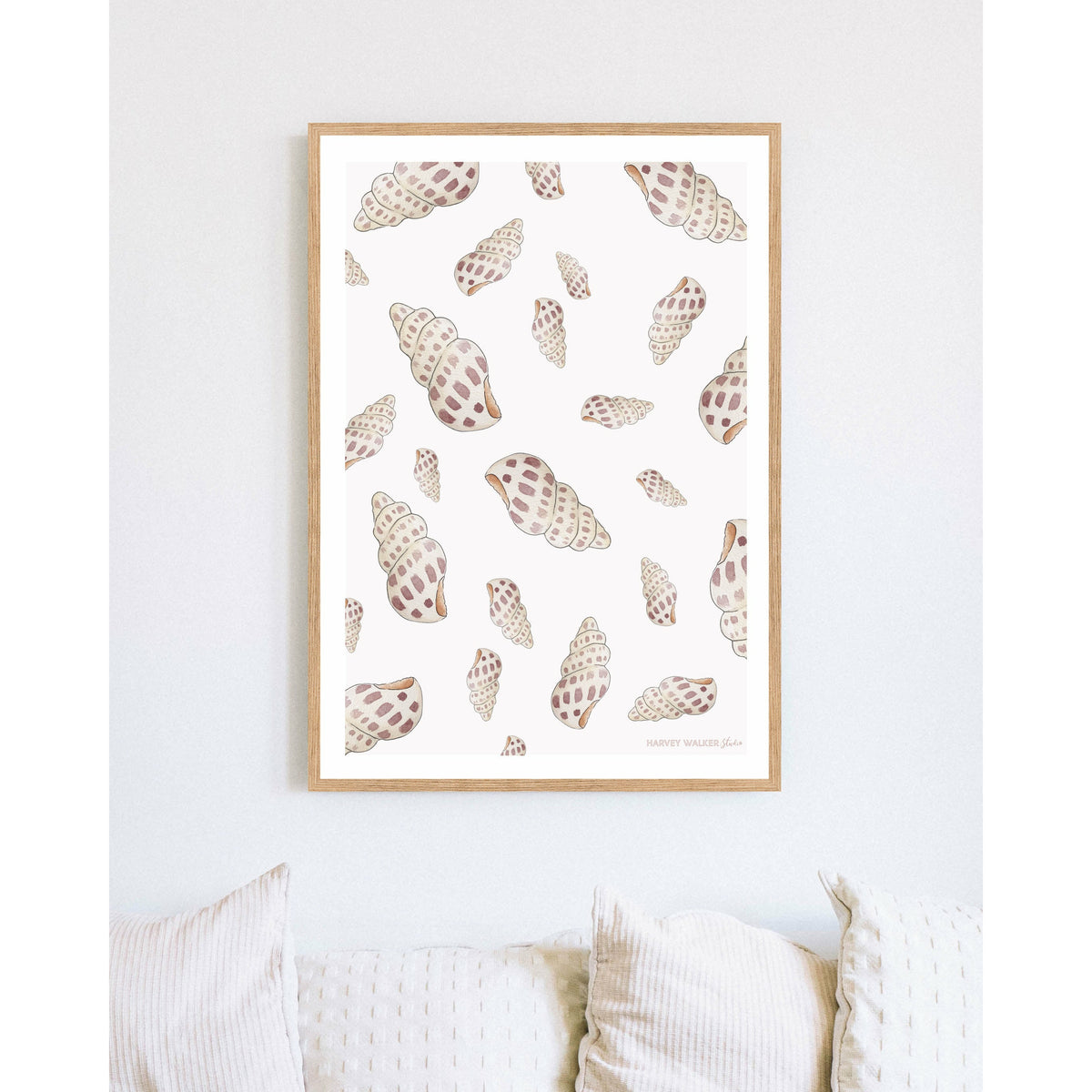 SHELLS GLAORE - Fine Art Print