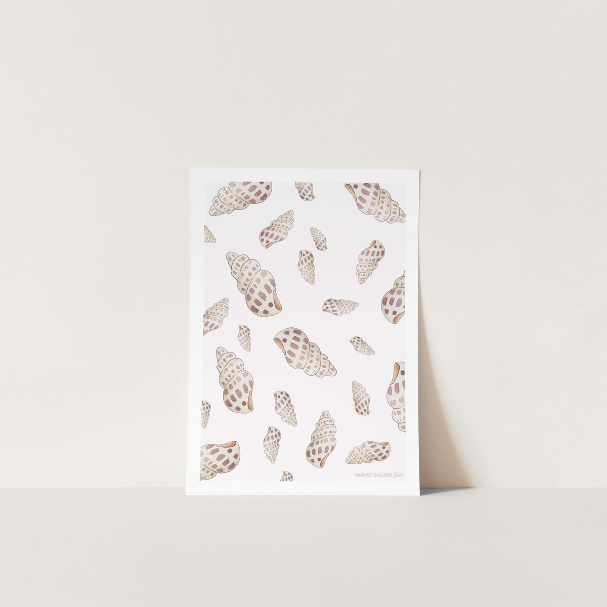 SHELLS GLAORE - Fine Art Print